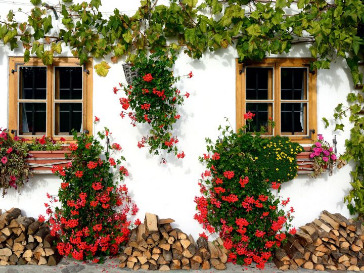 How to maximise your property’s curb-appeal